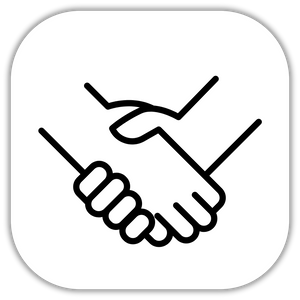 Icon 3